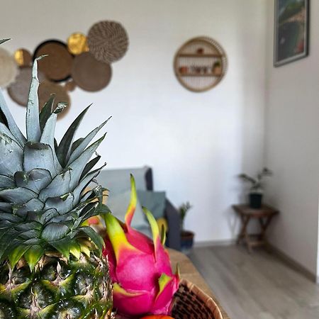Cocon Des Alizes Apartman La Moise Kültér fotó
